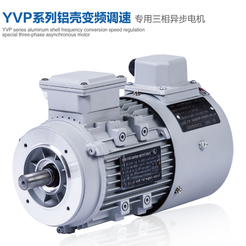 YVP鋁殼變頻電機(jī).jpg
