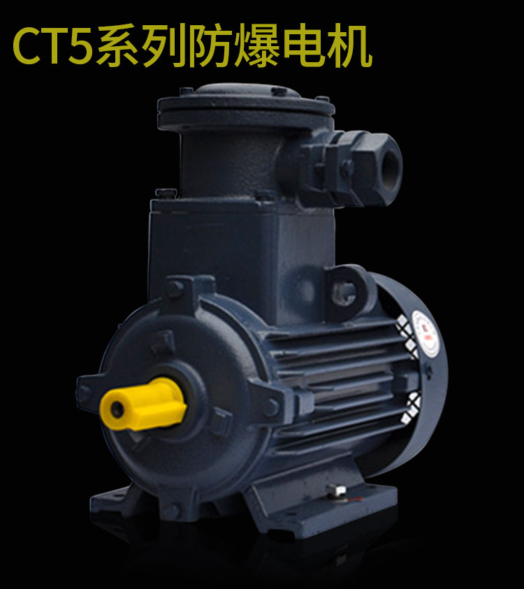 CT5系列防爆電機(jī).jpg